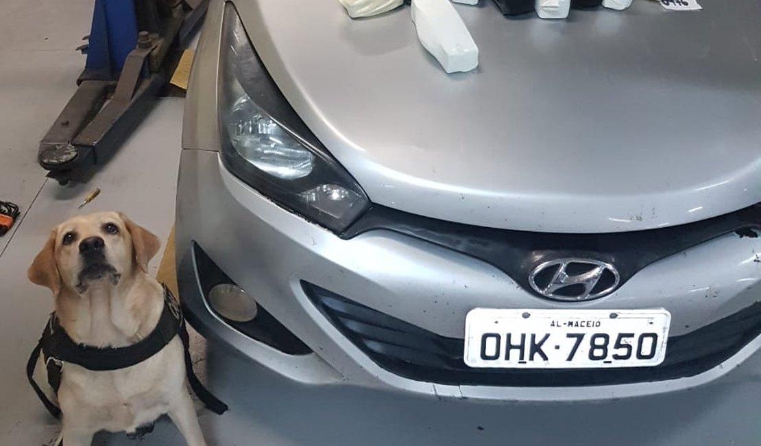 Mulher é presa com 10 KG de cocaína dentro de carro durante blitz em Arapiraca