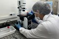 Pesquisa financiada pela Fapeal desvenda a evolução genética do vírus chikungunya em Alagoas