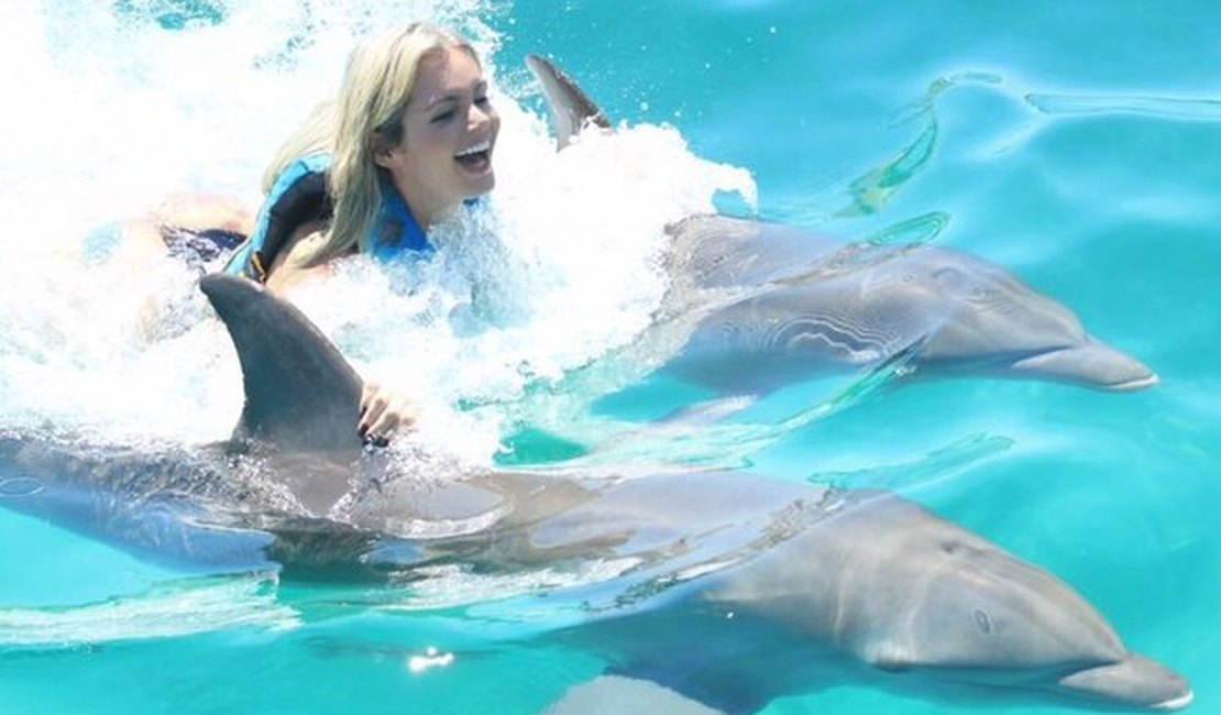 Thalita Zampirolli nada com golfinhos em Cancún, no México