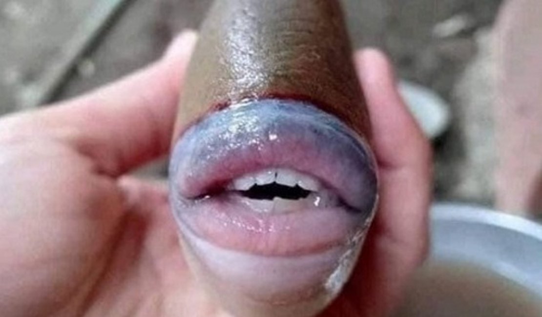 Imagem de peixe com dentes e lábios humanos viraliza e intriga internautas