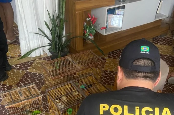 Operação Chauá: Polícia Federal investiga o desvio de aves em zoológico de Rio Largo