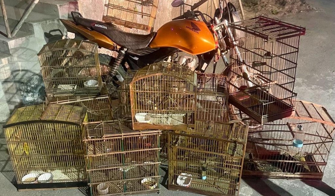 Polícia apreende arma, recupera moto roubada e resgata animais silvestres
