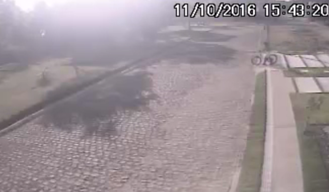 Vídeo mostra ação de homem furtando bicicletas em codomínio