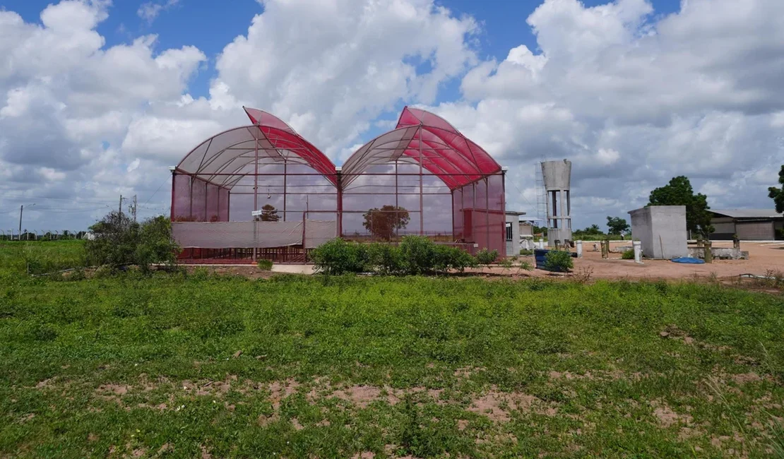 Polo Tecnológico Agroalimentar apresenta projeto de estufas hidropônicas a pequenos produtores rurais em Arapiraca