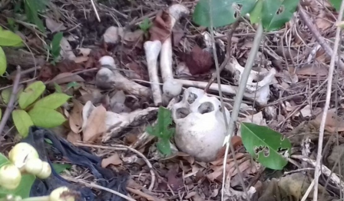 Populares encontram ossada humana em região de mata na Santa Amélia