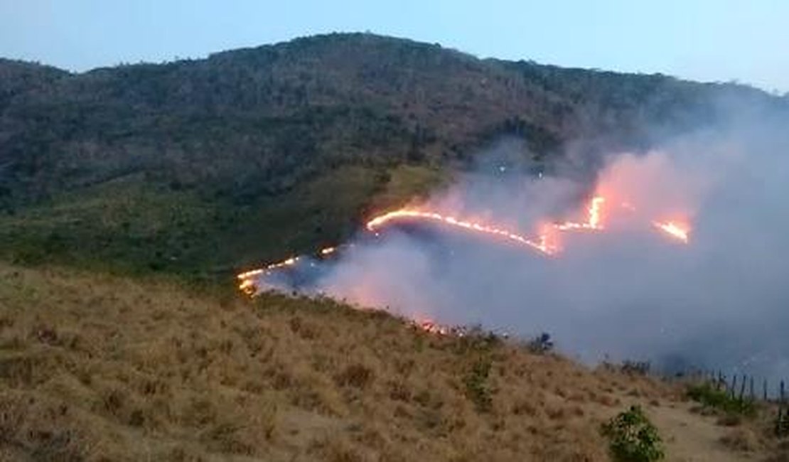 Incêndio atinge a Serra dos Frios e destrói fauna e flora nativas, em União dos Palmares