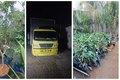 Dono de floricultura é preso após furtar R$ 300 mil em mudas de concorrente