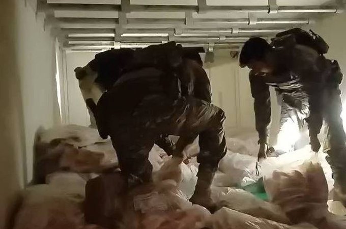 PRF aprende 5,3 toneladas de maconha congelada em carga de peixe