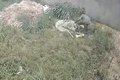 Homem é flagrado furtando bomba de cacimba em terreno baldio em Arapiraca