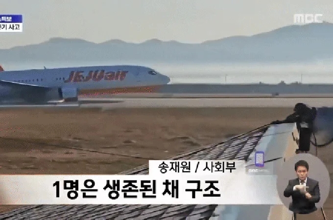 Pilotos desligaram motor errado após colisão com aves, aponta investigação sobre acidente aéreo na Coreia do Sul