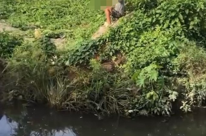 Criança é flagrada tentando se aproximar de jacarés em riacho de Arapiraca
