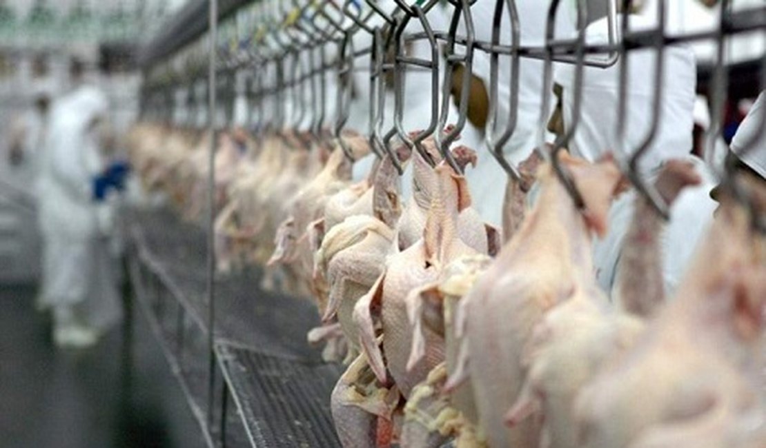 OMS diz que não há evidência de que alimentos transmitam covid-19