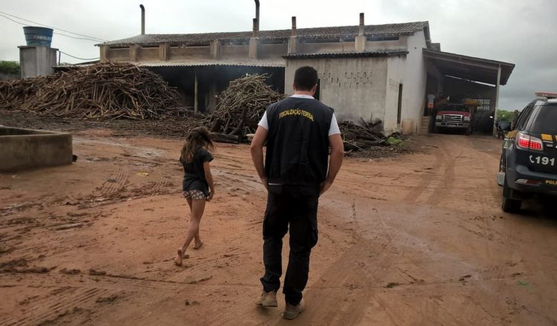 Operação integrada flagra 10 crianças trabalhando em casa de farinha, em Arapiraca