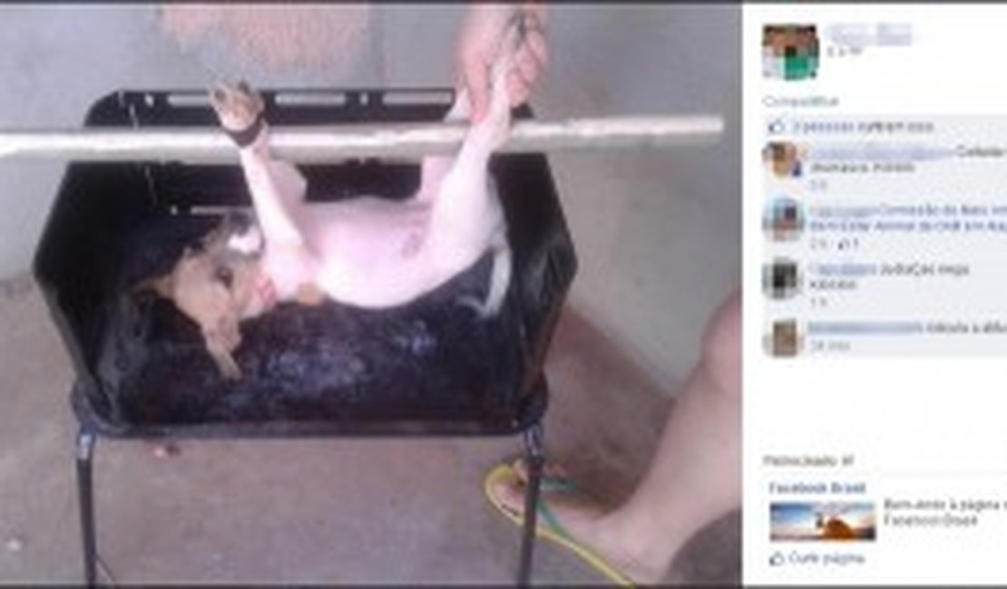 Fotos de penedense com cachorro pendurado em churrasqueira repercute nas redes sociais