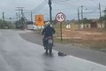 Polícia Civil identifica dono de moto flagrada arrastando cachorro em Rio Largo