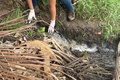 Empreendimento hoteleiro em Ipioca é autuado por lançamento irregular de efluentes no Riacho das Lanchas, em Maceió