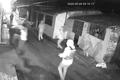 Operação integrada entre Alagoas e Bahia prende grupo criminoso responsável por homicídio no Pilar