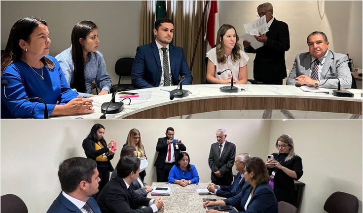 Cinco Comissões Permanentes escolhem seus presidentes e vices na Assembleia Legislativa
