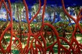 Simone Freitas apresenta nova exposição “Entre o mar e o sertão, tem o mangue” no Complexo Cultural do Teatro Deodoro