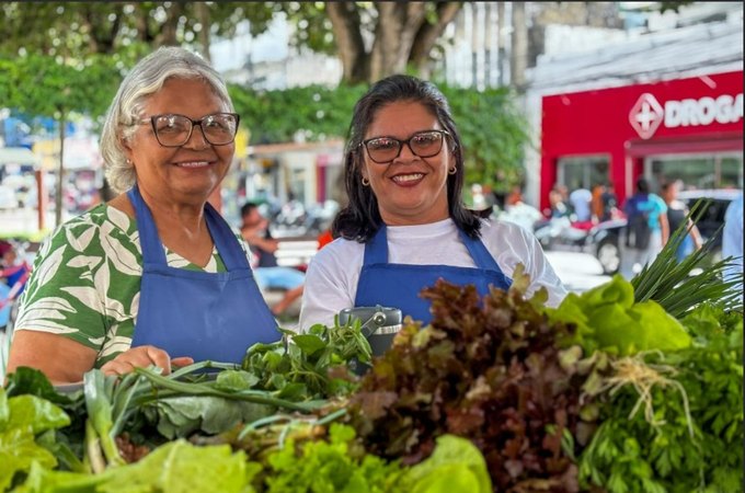 Circuito de Regional de Feiras movimenta o Agreste com sabores, cores e histórias do campo