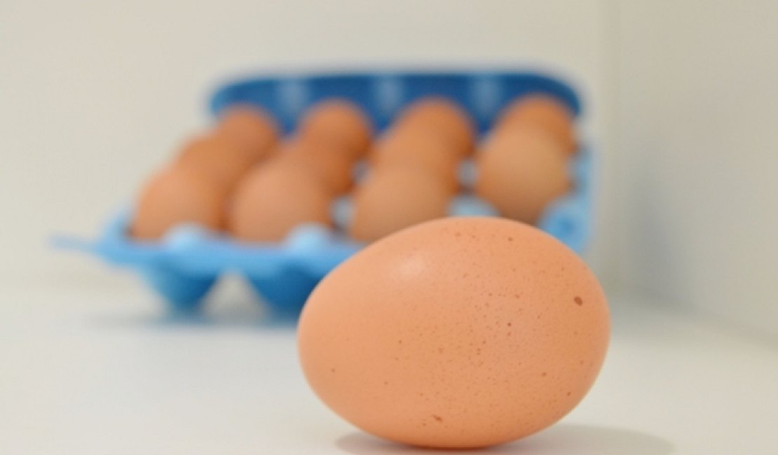 Vigilância Sanitária esclare sobre consumo e acondicionamento do ovo