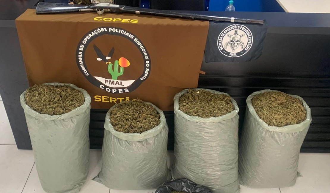 Polícia Militar apreende quase 32kg de maconha no Sertão de Alagoas