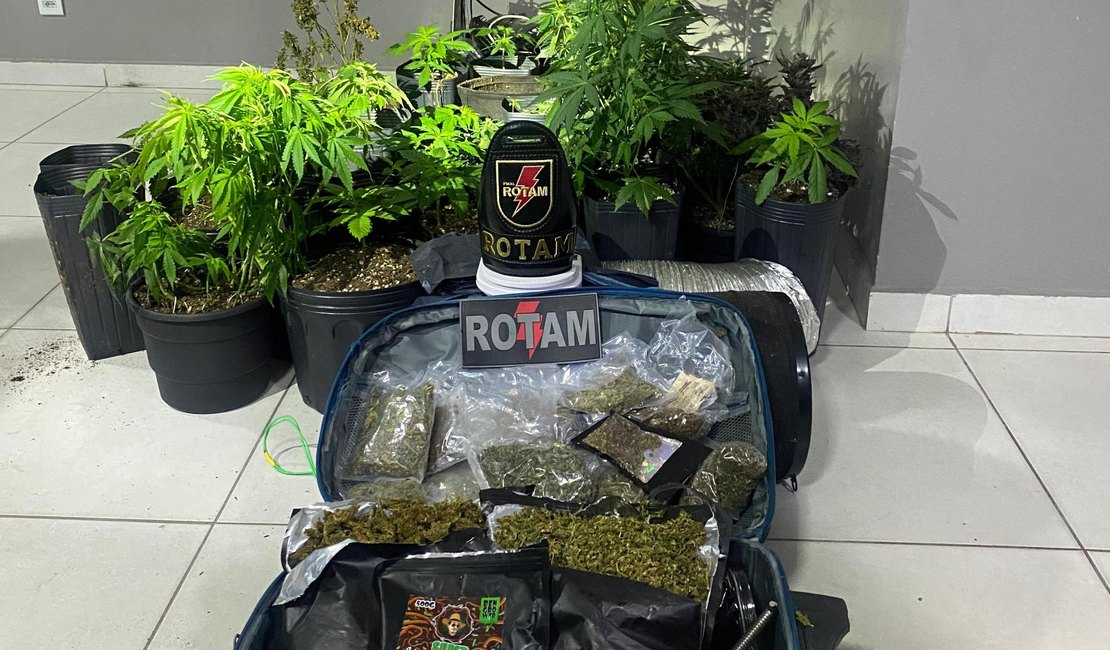 PM desarticula laboratório de drogas e localiza plantio de maconha na Barra Nova, em Marechal