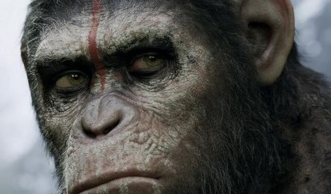 Planeta dos Macacos: O Confronto lidera a bilheteria nos cinemas