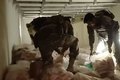 PRF aprende 5,3 toneladas de maconha congelada em carga de peixe