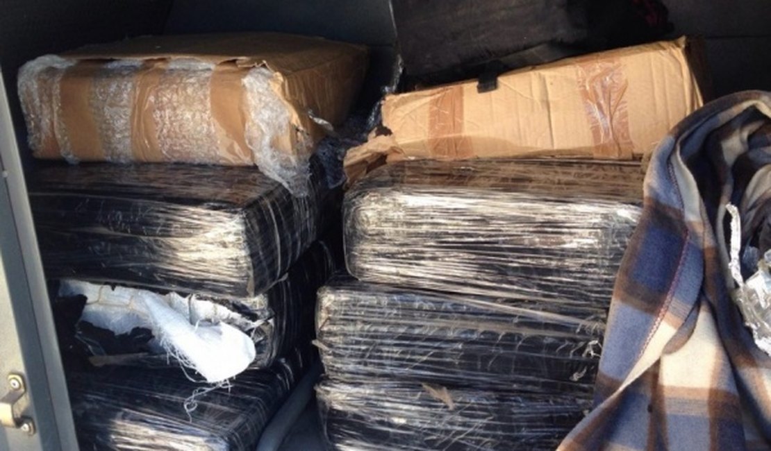 Operação policial apreende mais de 200 quilos de maconha