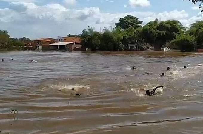 Vídeo. Ponte desaba, derruba vários jovens em rio e um morre afogado