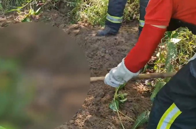 Corpo é encontrado em área de mata em São Miguel dos Milagres; vítima pode ser uma das cinco pessoas desaparecidas na região