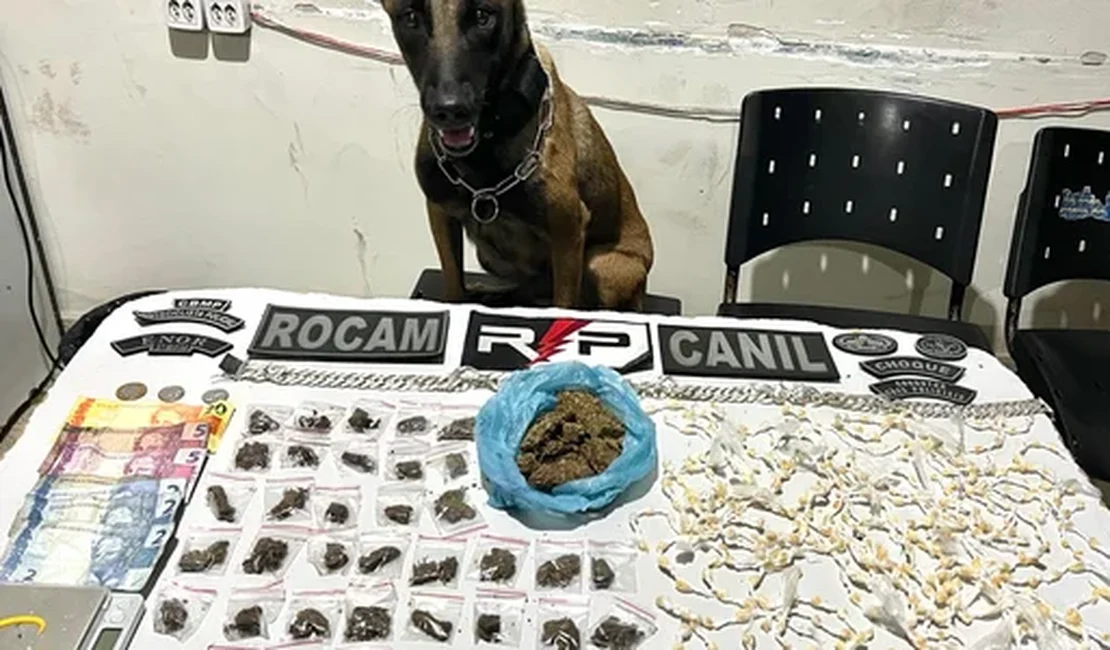 Homem é preso por tráfico após cão farejador localizar drogas em residência em Arapiraca