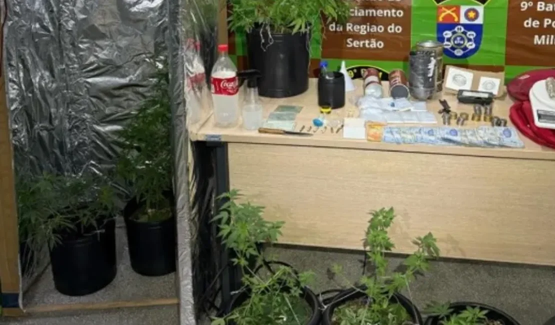 PM encontra estufa artesanal de maconha em residência e prende jovem de 24 anos, em Delmiro
