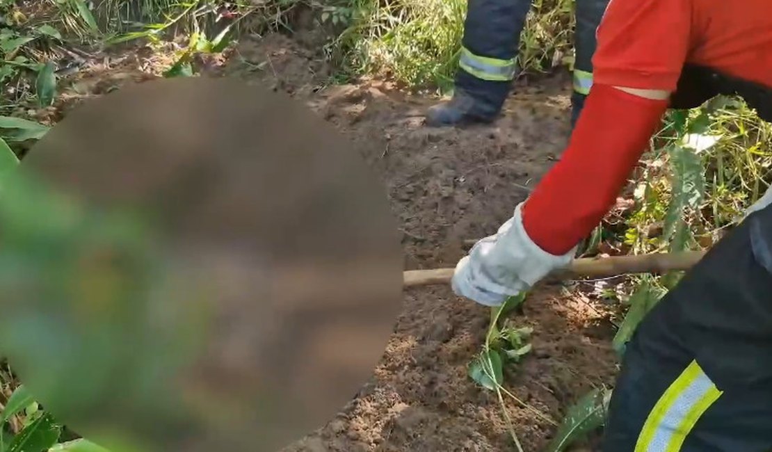 Corpo é encontrado em área de mata em São Miguel dos Milagres; vítima pode ser uma das cinco pessoas desaparecidas na região