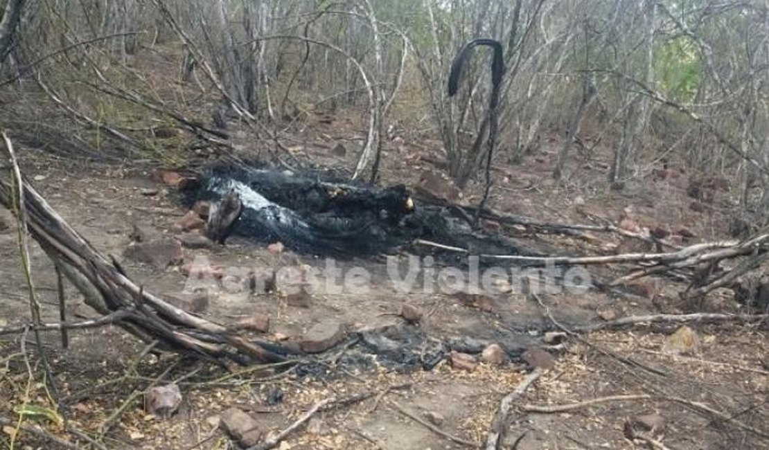 Corpo encontrado carbonizado em Pernambuco pode ser de empresário arapiraquense