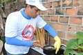 Sesau alerta sobre as medidas para prevenir a proliferação do Aedes aegypti durante a quadra chuvosa