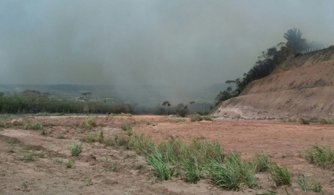 IMA interdita parte da fábrica GranBio após terceiro incêndio em dois meses