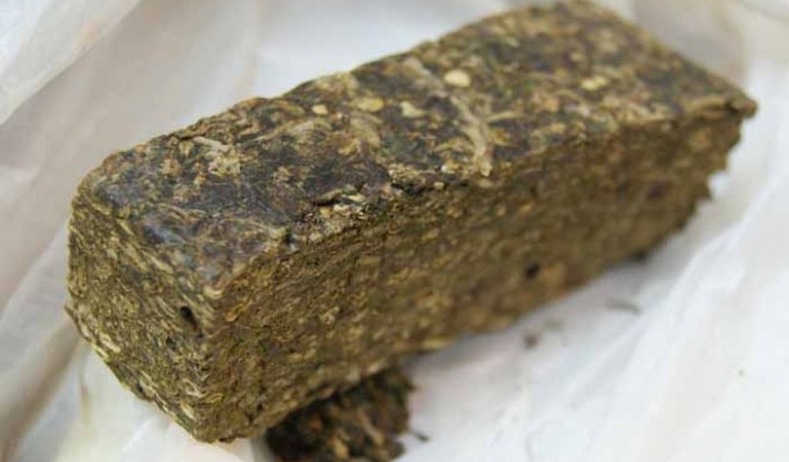 Polícia prende jovem de 24 anos com 13,5 quilos de maconha em Maceió
