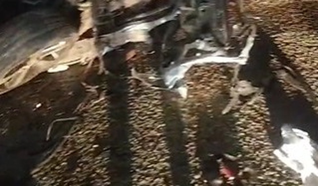 Vídeo. Empresário fica preso às ferragens após colisão envolvendo carro e caminhão de cana