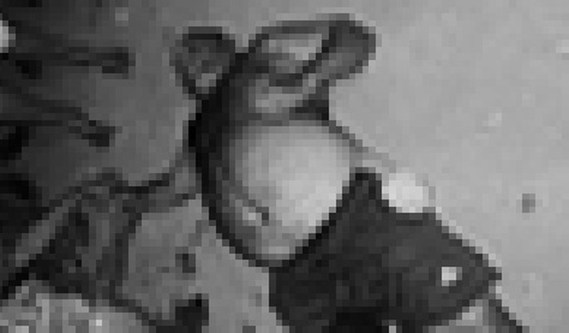 Idoso é morto a facadas após reagir a tentativa de assalto no interior do estado