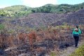 IMA alerta sobre aumento de queimadas e reforça necessidade de autorização para queima controlada