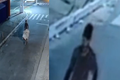 VÍDEO: Câmeras flagraram homem que matou mulher trans empurrando carrinho de mão com o corpo da vítima em Maceió