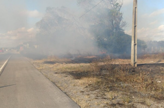 Fogo atinge área de vegetação às margens da rodovia AL-101