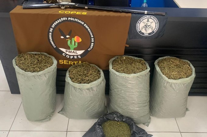Polícia Militar apreende quase 32kg de maconha no Sertão de Alagoas