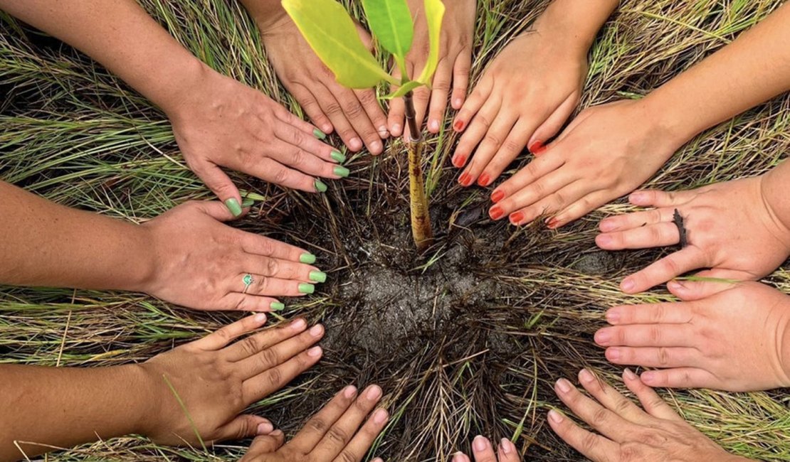 Com arborização, Prefeitura faz de Maceió uma cidade mais sustentável