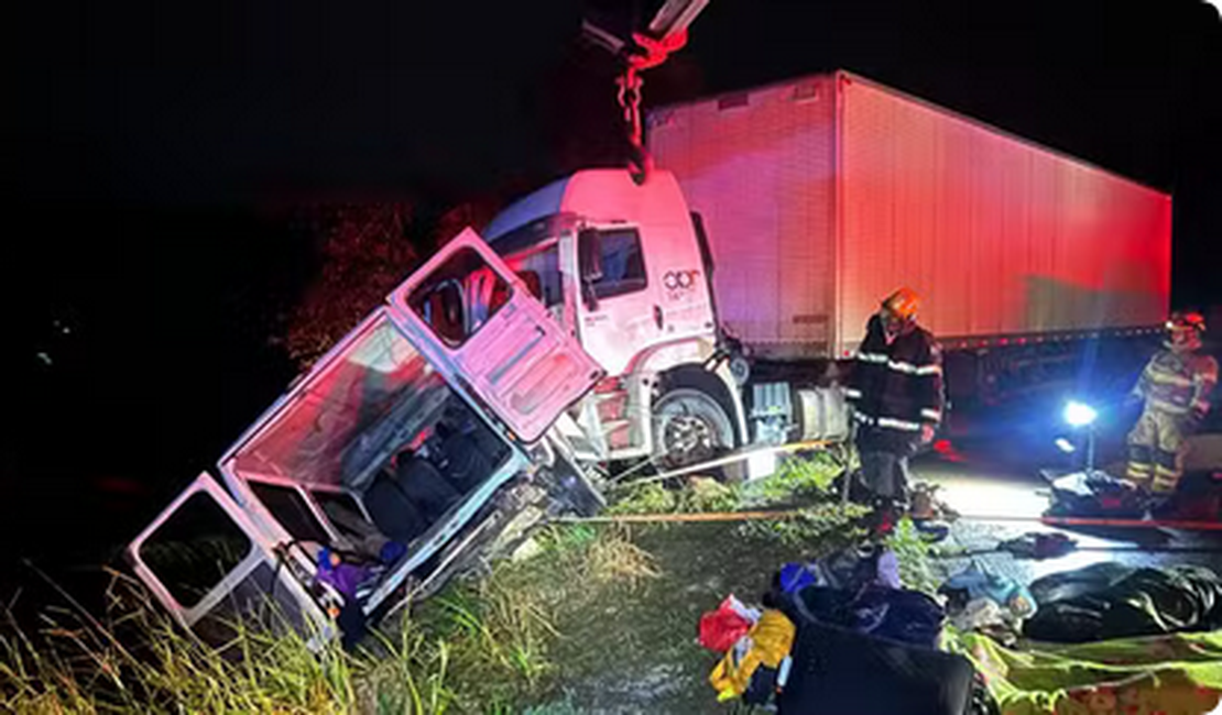 Batida entre carreta e van deixa nove pessoas mortas e 10 feridas na BR-251
