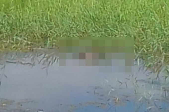 Corpo em estado de decomposição é encontrado em lagoa, em Porto Real do Colégio