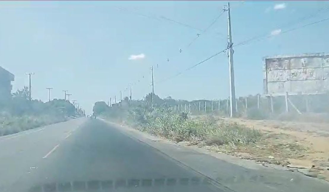 Incêndios atingem áreas de vegetação às margens da AL-115, em Arapiraca