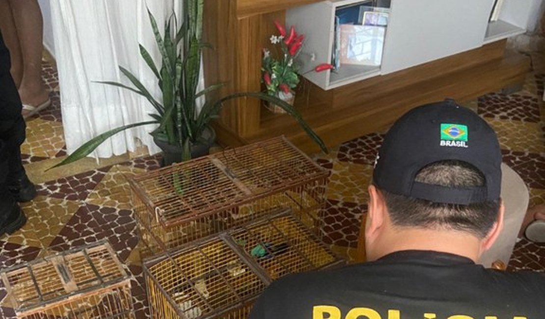 Operação Chauá: Polícia Federal investiga o desvio de aves em zoológico de Rio Largo